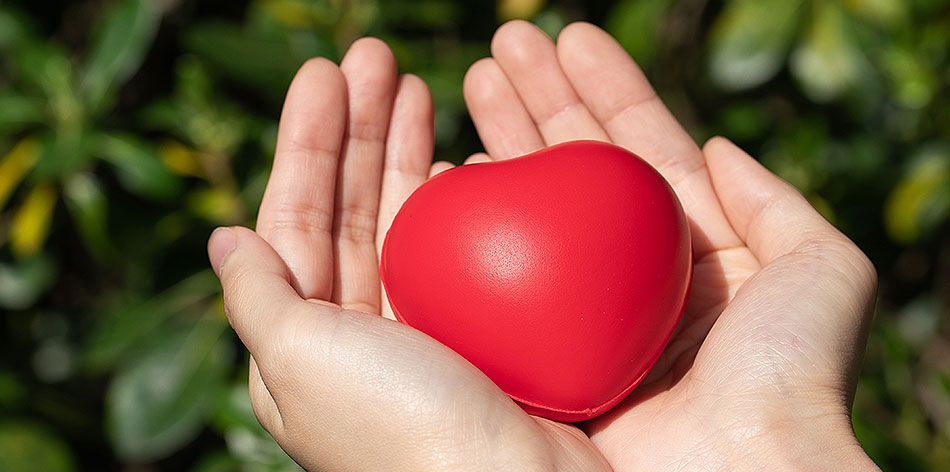 一码中内部资料联系方式