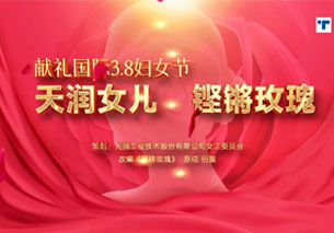 一码中内部资料联系方式